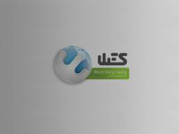 World Energy Service Logo Design