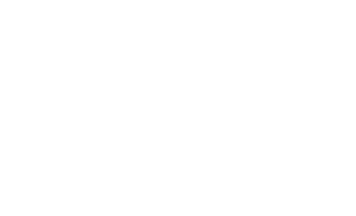 Wowwee Design White Logo