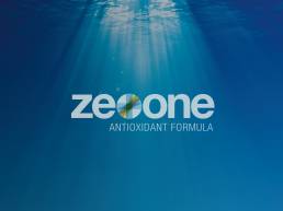 ZeoOne Logo Design