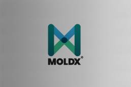 Moldx Logo Design